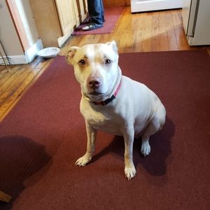 Meet your Posher, Carlos